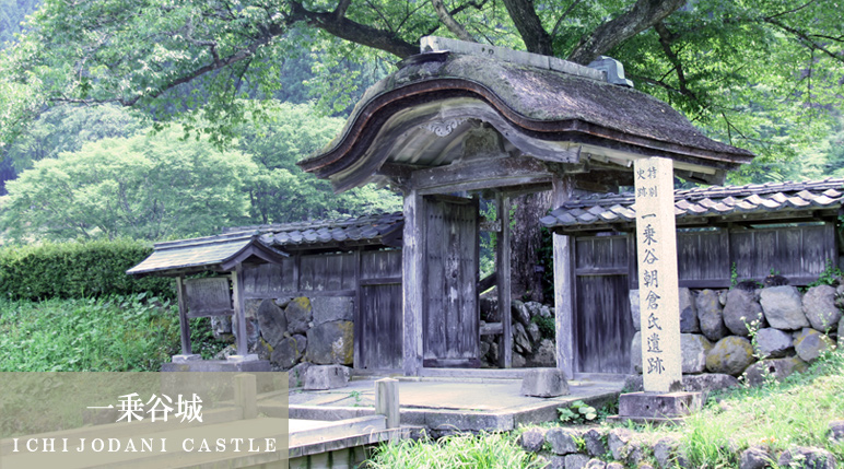 一乗谷城（ＩＣＨＩＪＯＤＡＮＩ ＣＡＳＴＬＥ）