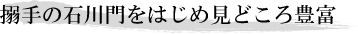 搦手の石川門をはじめ見どころ豊富
