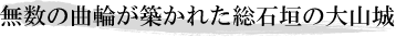 無数の曲輪が築かれた総石垣の大山城