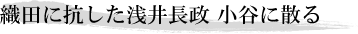 織田に抗した浅井長政 小谷に散る