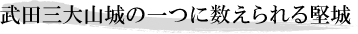 武田三大山城の一つに数えられる堅城