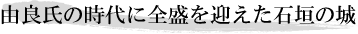 由良氏の時代に全盛を迎えた石垣の城