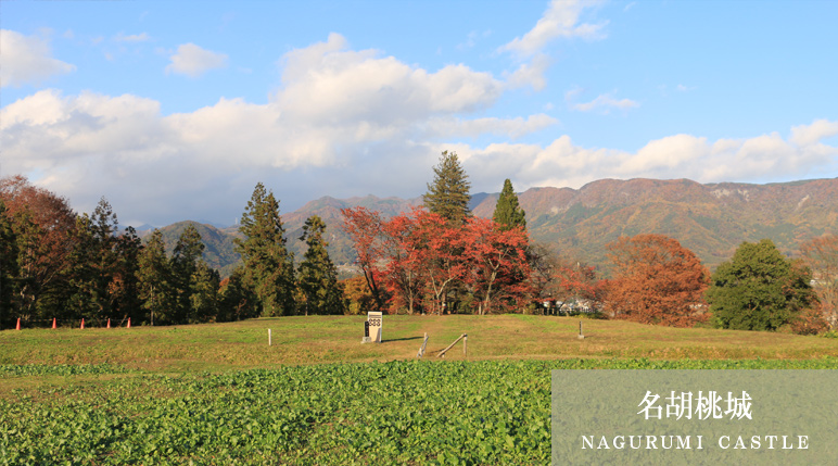 名胡桃城（ＮＡＧＵＲＵＭＩ ＣＡＳＴＬＥ）