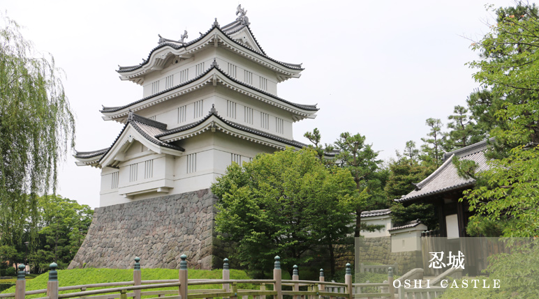 忍城（ＯＳＨＩ ＣＡＳＴＬＥ）
