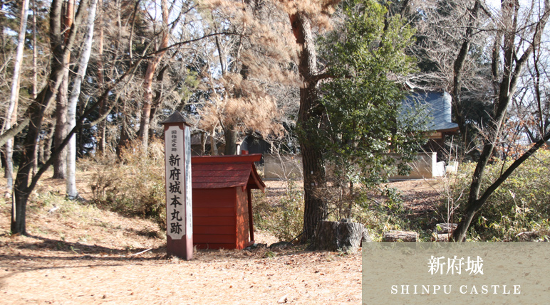 新府城（ＳＨＩＮＰＵ ＣＡＳＴＬＥ）