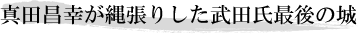 真田昌幸が縄張りした武田氏最後の城