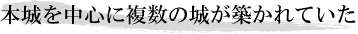 本城を中心に複数の城が築かれていた