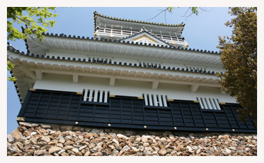 再建された天守閣です。