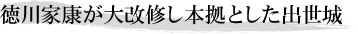 徳川家康が大改修し本拠とした出世城