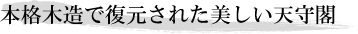 本格木造で復元された美しい天守閣
