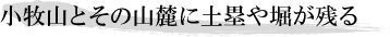 小牧山とその山麓に土塁や堀が残る