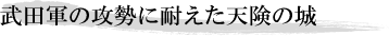 武田軍の攻勢に耐えた天険の城