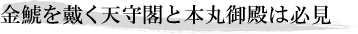 金鯱を戴く天守閣と本丸御殿は必見