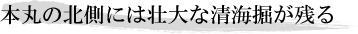 本丸の北側には壮大な清海掘が残る