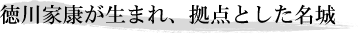 徳川家康が生まれ、拠点とした名城