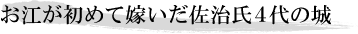 お江が初めて嫁いだ佐治氏4代の城