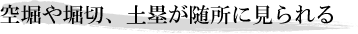 空堀や堀切、土塁が随所に見られる