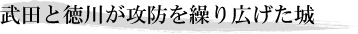 武田と徳川が攻防を繰り広げた城